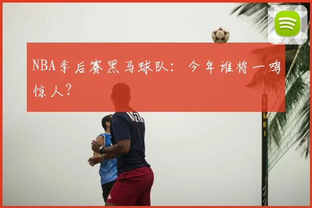 NBA季后赛黑马球队：今年谁将一鸣惊人？